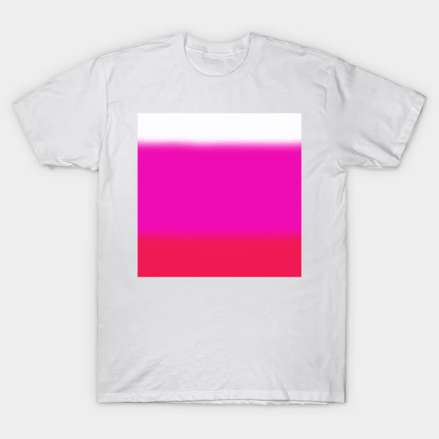 Ombre Pinks T-Shirt by BlakCircleGirl